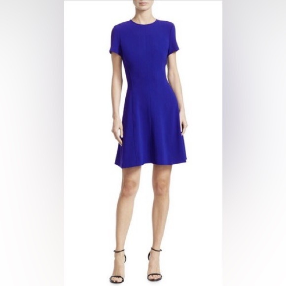 Theory Modern Short Sleeve Seamed Shift Fit and Flare Dress in Royal Blue - Picture 6 of 7